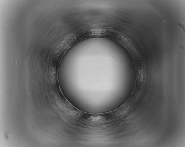 X0000102220557200808011205