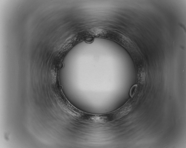 X0000102220558200808011205