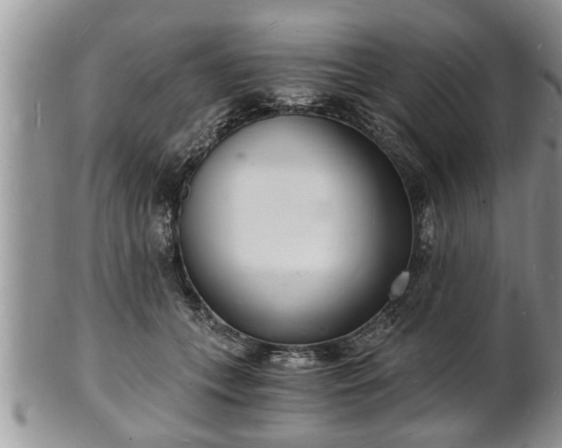 X0000102220559200808011205