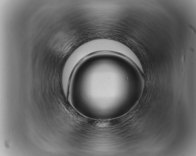 X0000102220560200808011205