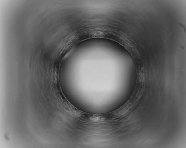 X0000102220561200808011205