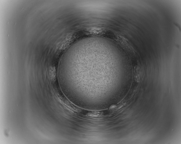 X0000102220563200808011205