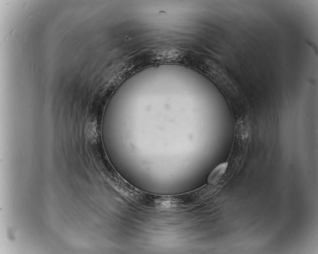 X0000102220564200808011205