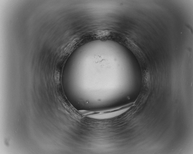 X0000102220565200808011205