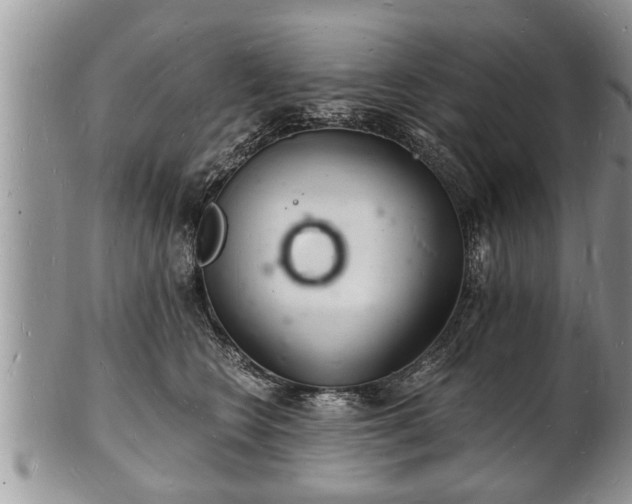 X0000102220566200808011205