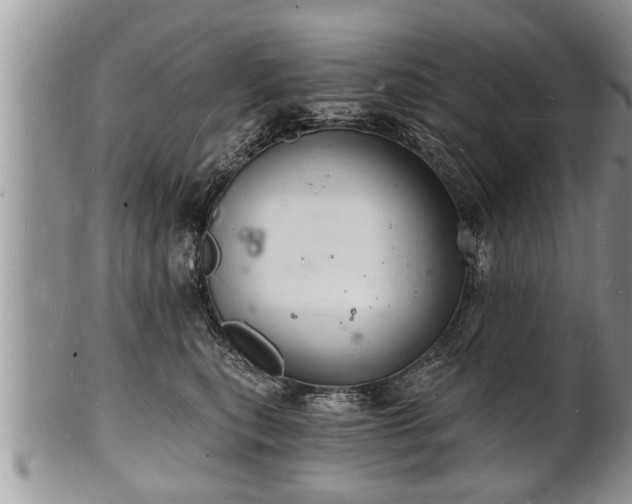 X0000102220567200808011205