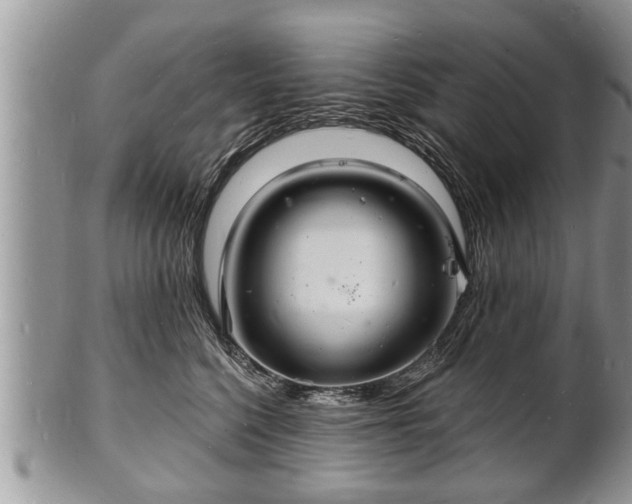 X0000102220568200808011205