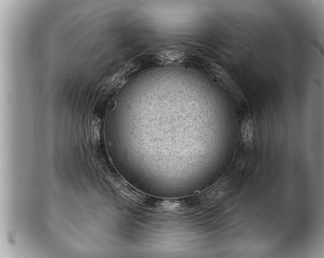 X0000102220570200808011205