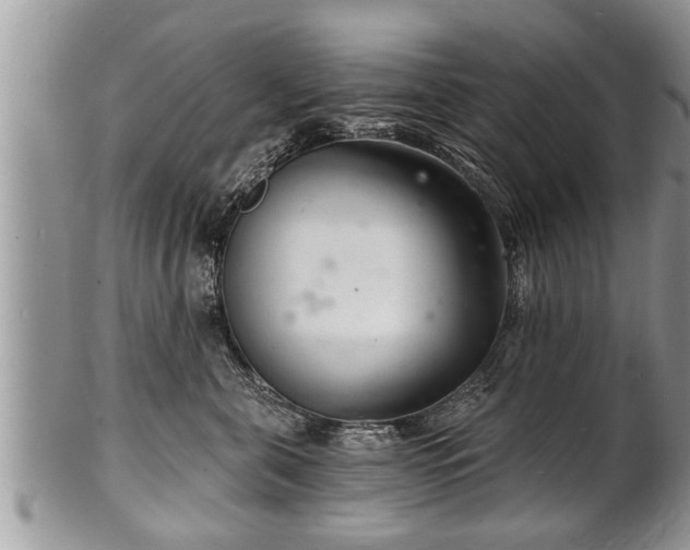 X0000102220571200808011205