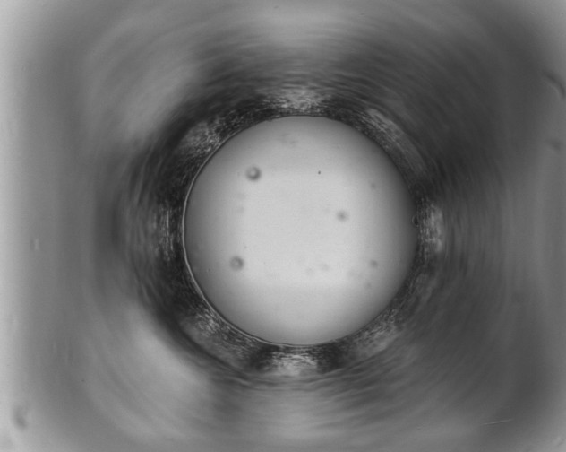 X0000102220572200808011205