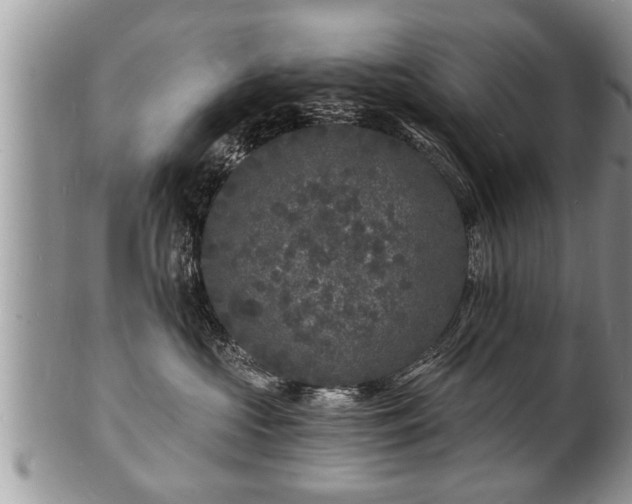 X0000102220573200808011205