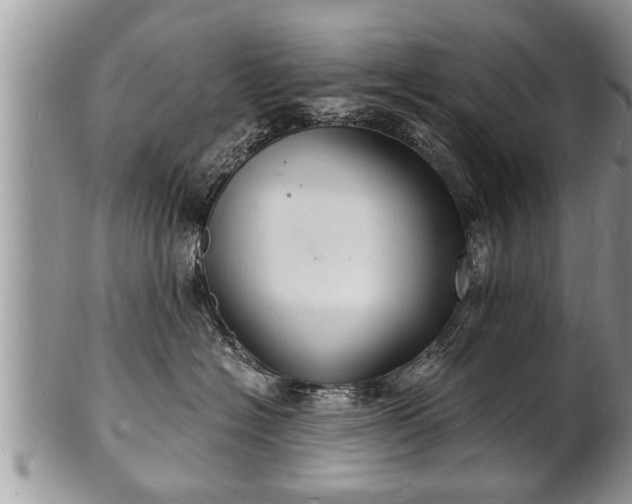 X0000102220574200808011205