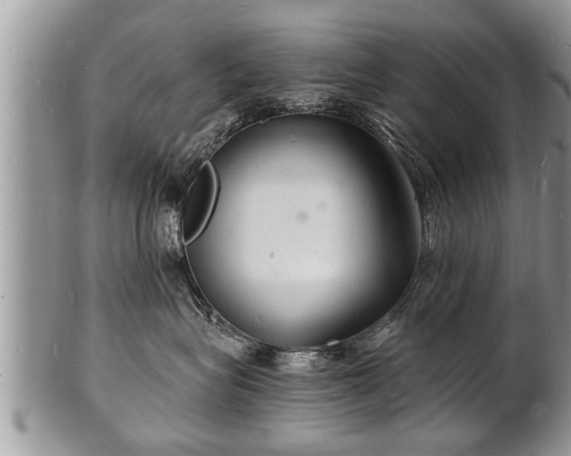 X0000102220575200808011205