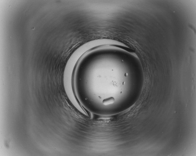 X0000102220576200808011205