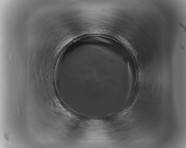 X0000102220577200808011204