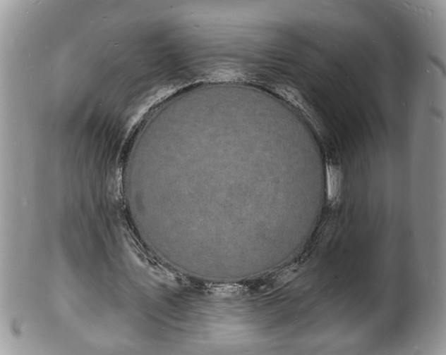 X0000102220579200808011204