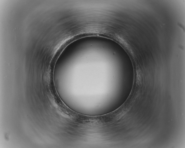 X0000102220580200808011204