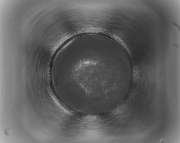 X0000102220581200808011204