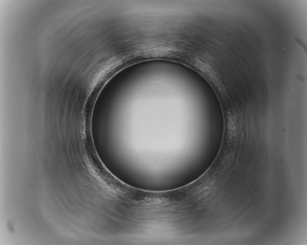 X0000102220582200808011204