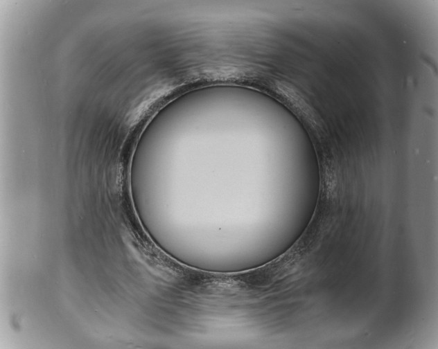 X0000102220583200808011204