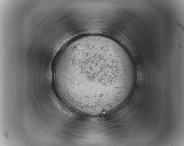 X0000102220584200808011204