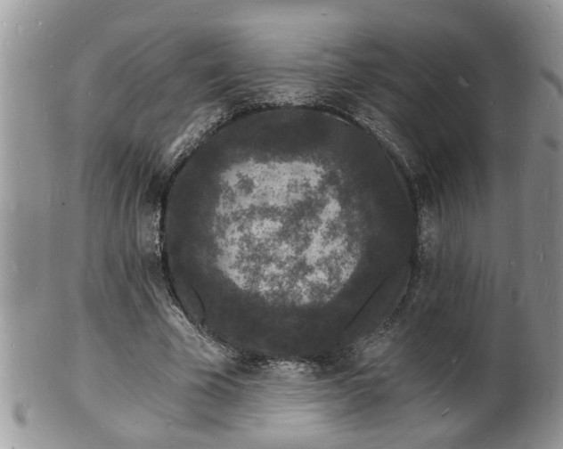 X0000102220585200808011204