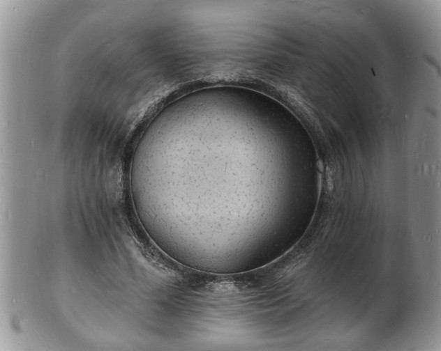 X0000102220588200808011204