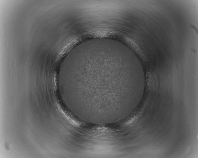 X0000102220590200808011204