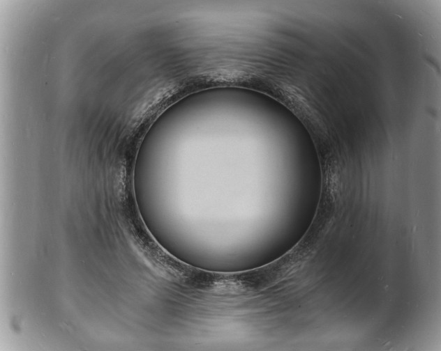 X0000102220591200808011204