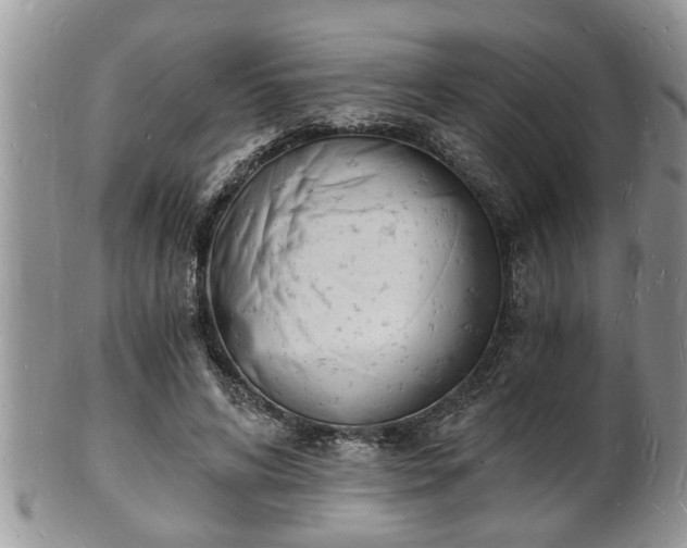 X0000102220592200808011204