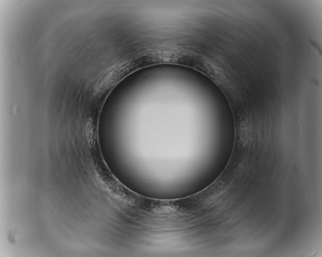 X0000102220594200808011204