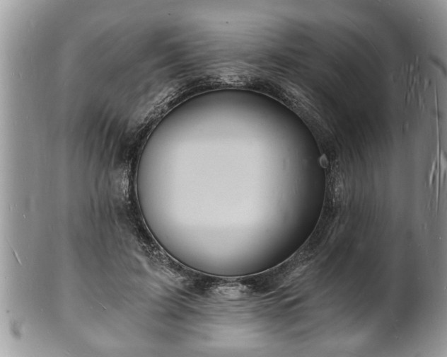 X0000102220595200808011204