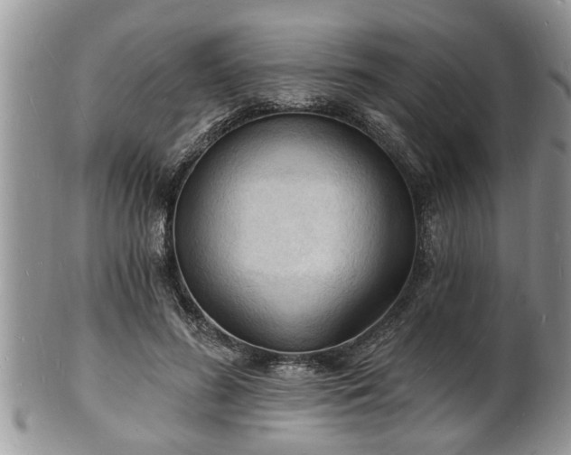 X0000102220596200808011204