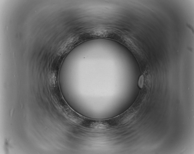 X0000102220597200808011204