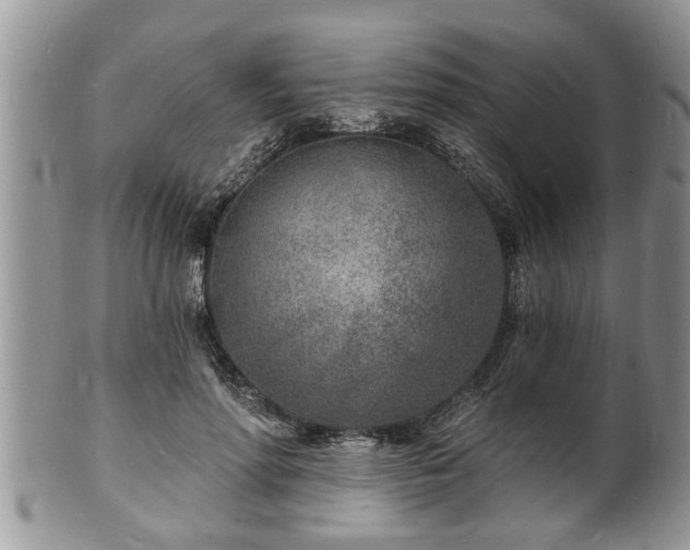 X0000102220598200808011204