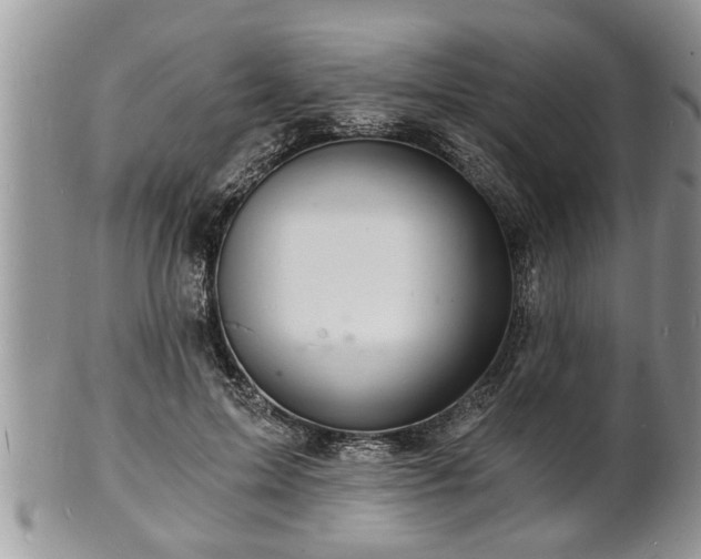 X0000102220599200808011204