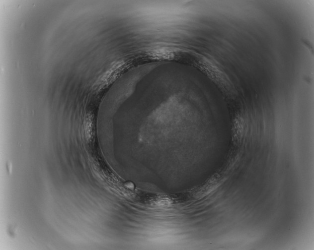 X0000102220600200808011204