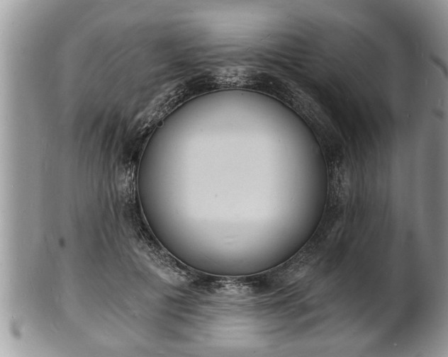 X0000102220601200808011204