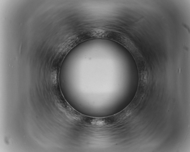 X0000102220602200808011204