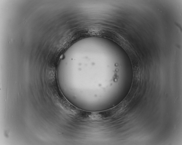 X0000102220603200808011204