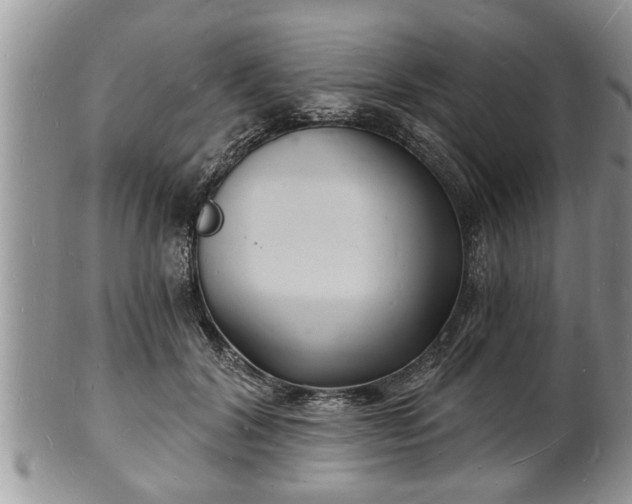 X0000102220604200808011204