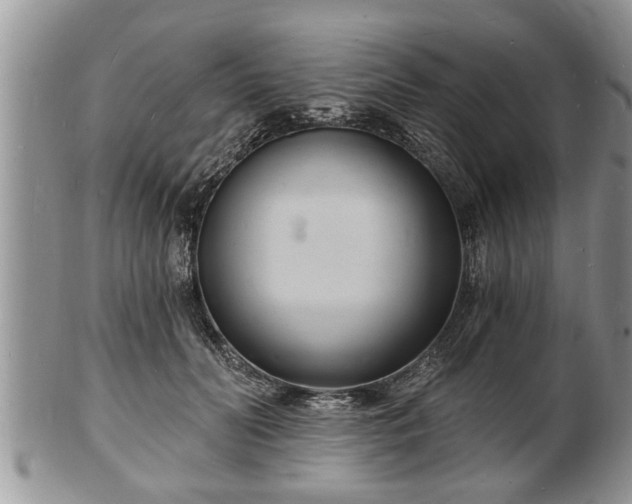 X0000102220606200808011204