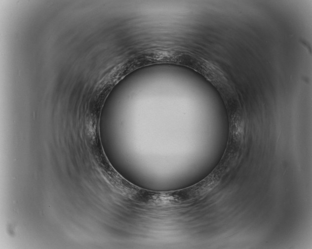 X0000102220607200808011204