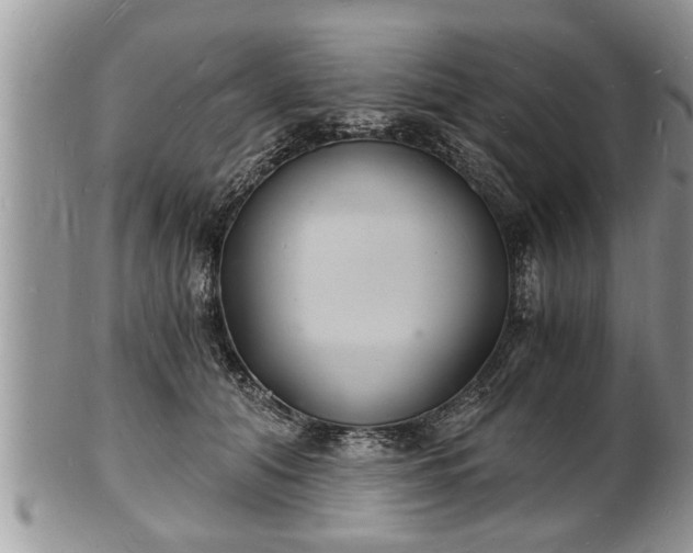 X0000102220608200808011204