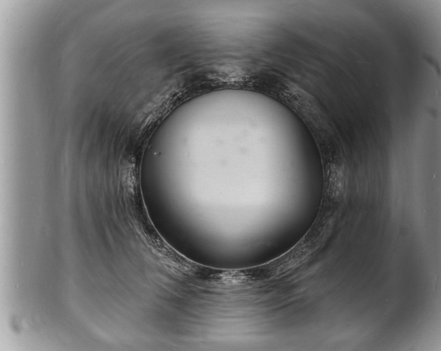 X0000102220612200808011204