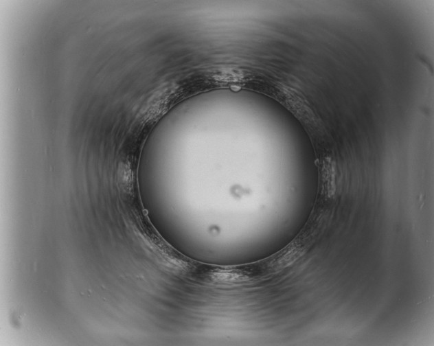 X0000102220614200808011204