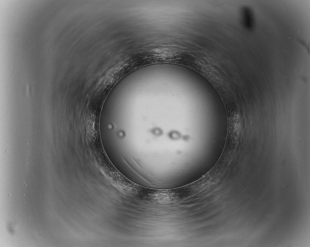 X0000102220615200808011204