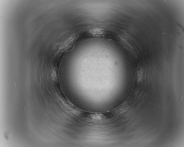 X0000102220618200808011204