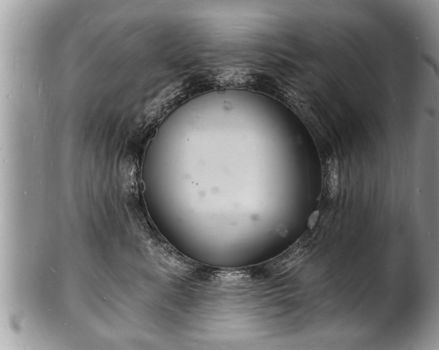 X0000102220619200808011204