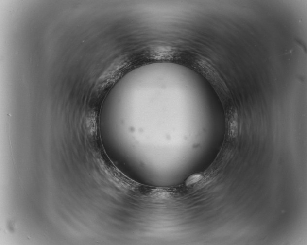 X0000102220620200808011204